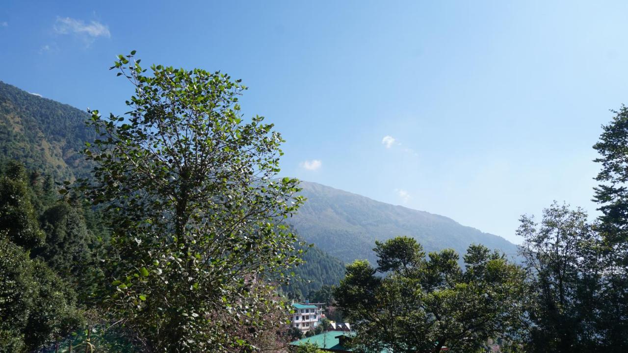 Angela'S Boutique Homes Dharamkot ดารัมซาลา ภายนอก รูปภาพ